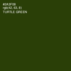 #2A3F08 - Turtle Green Color Image